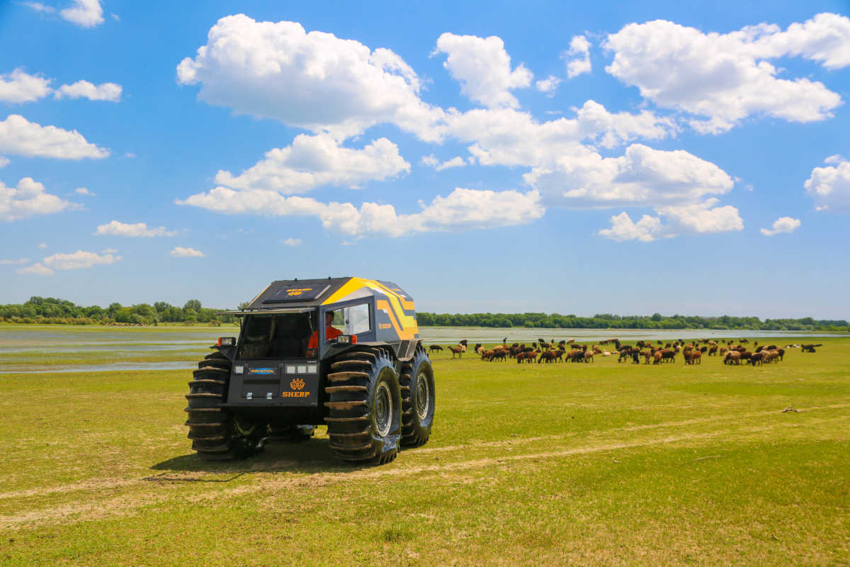 Sherp ATV - TheArsenale